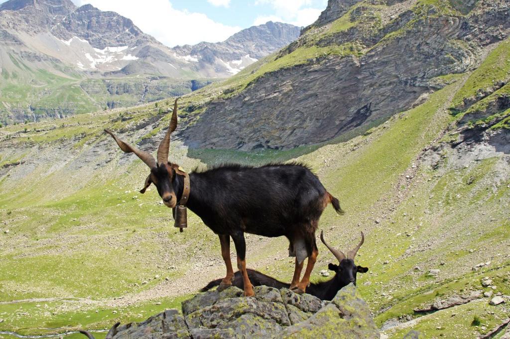 فندق Freissinieresفي  Le Relais Des Vaudois المظهر الخارجي الصورة